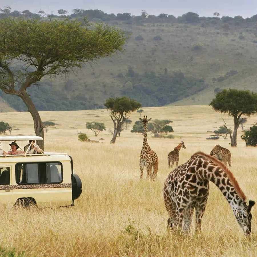 4-Days Wildlife Safari - Akagera National Park (Standard)